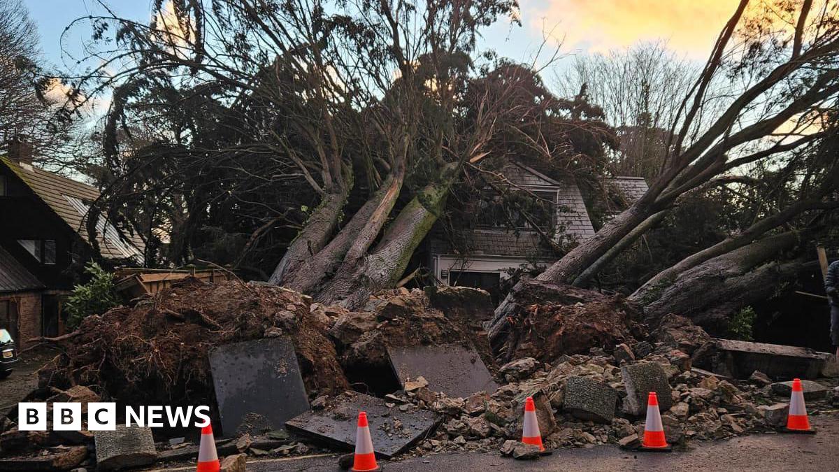 A fallen tree in Falmouth Road, Truro. The tree has fallen on a house. There are orange cones in front of it.  The sky is blue with clouds.
