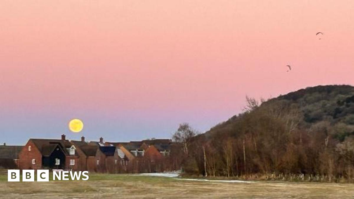A yellow moon in a pink sky low over a row of houses in the distance, with a grassy hill at the side and field in the foreground