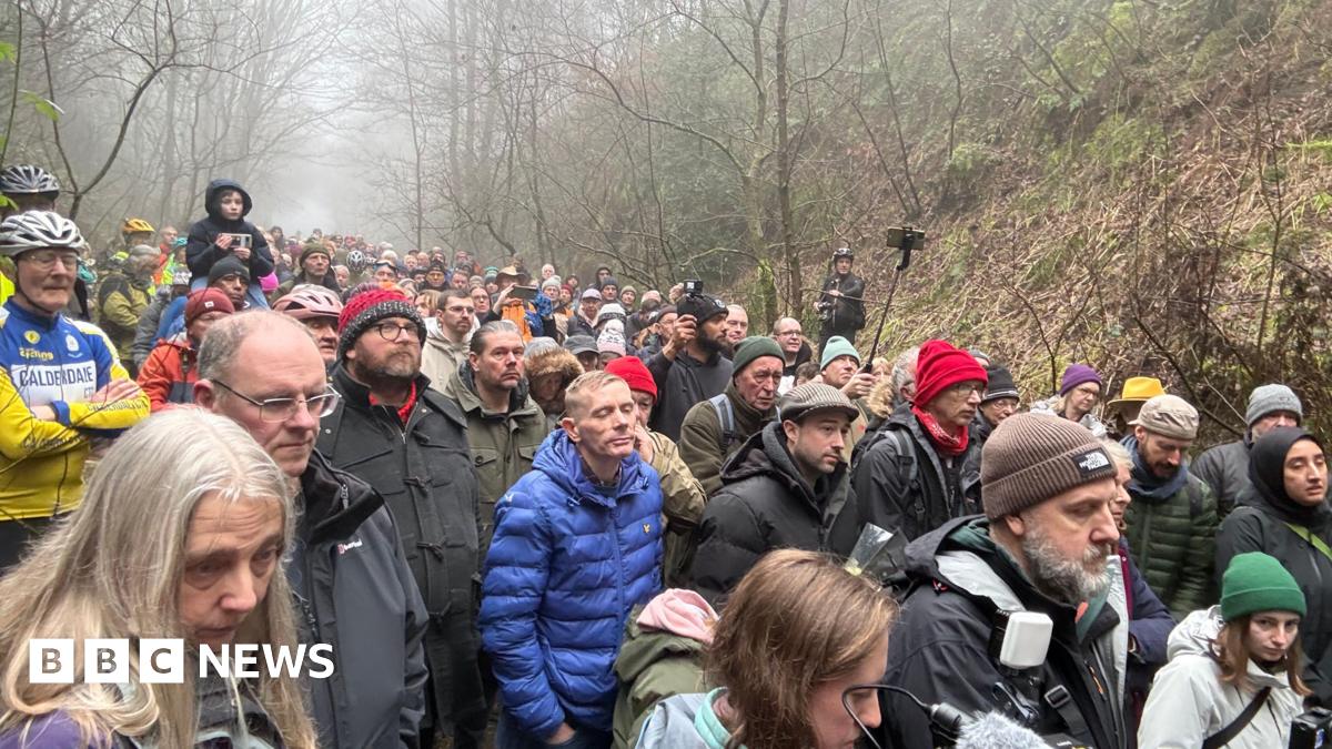 A large crowd of people gathered along a woodland path on a misty day.