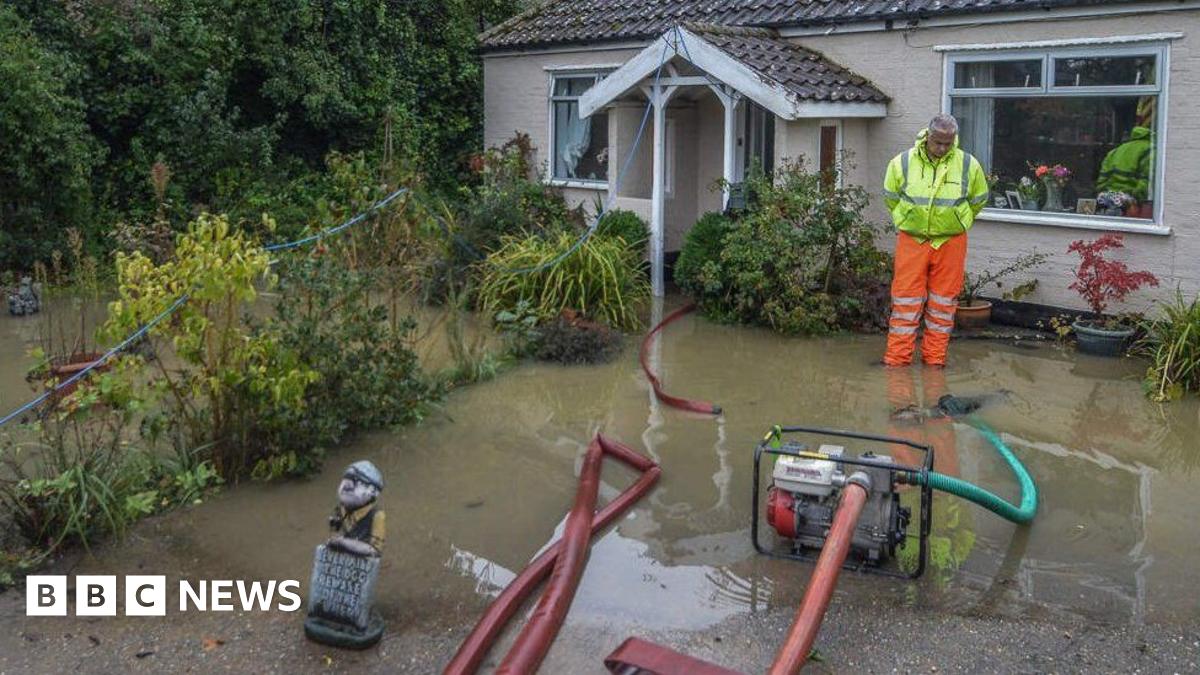 A pump and a volunteer in the garden of a home in Attleborough.
