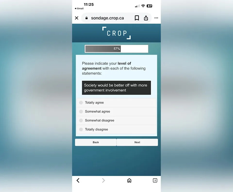 Respondent Amelia LaTouche shared a screenshot of the survey sent to Thermea customers with CBC News. 