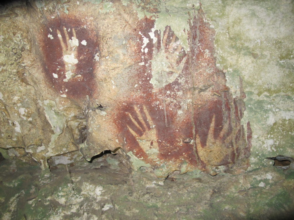 Oldest Cave Art