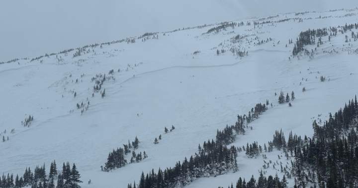 Snowmobiler dies in avalanche in Rocky Mountains in northeastern B.C.