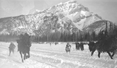 Skijoring: a sport you’ve likely never heard of pushed a resort town to its limit - CTV News