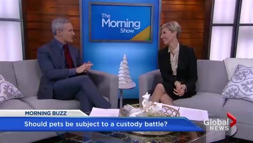 Click to play video: 'Should pets be treated like kids in custody battles?'