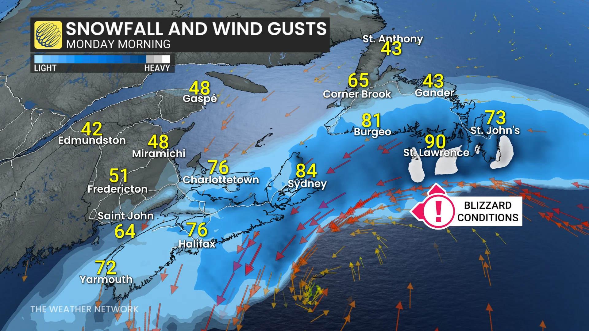 Baron - Blizzard conditions Monday Atlantic Canada - Jan 30