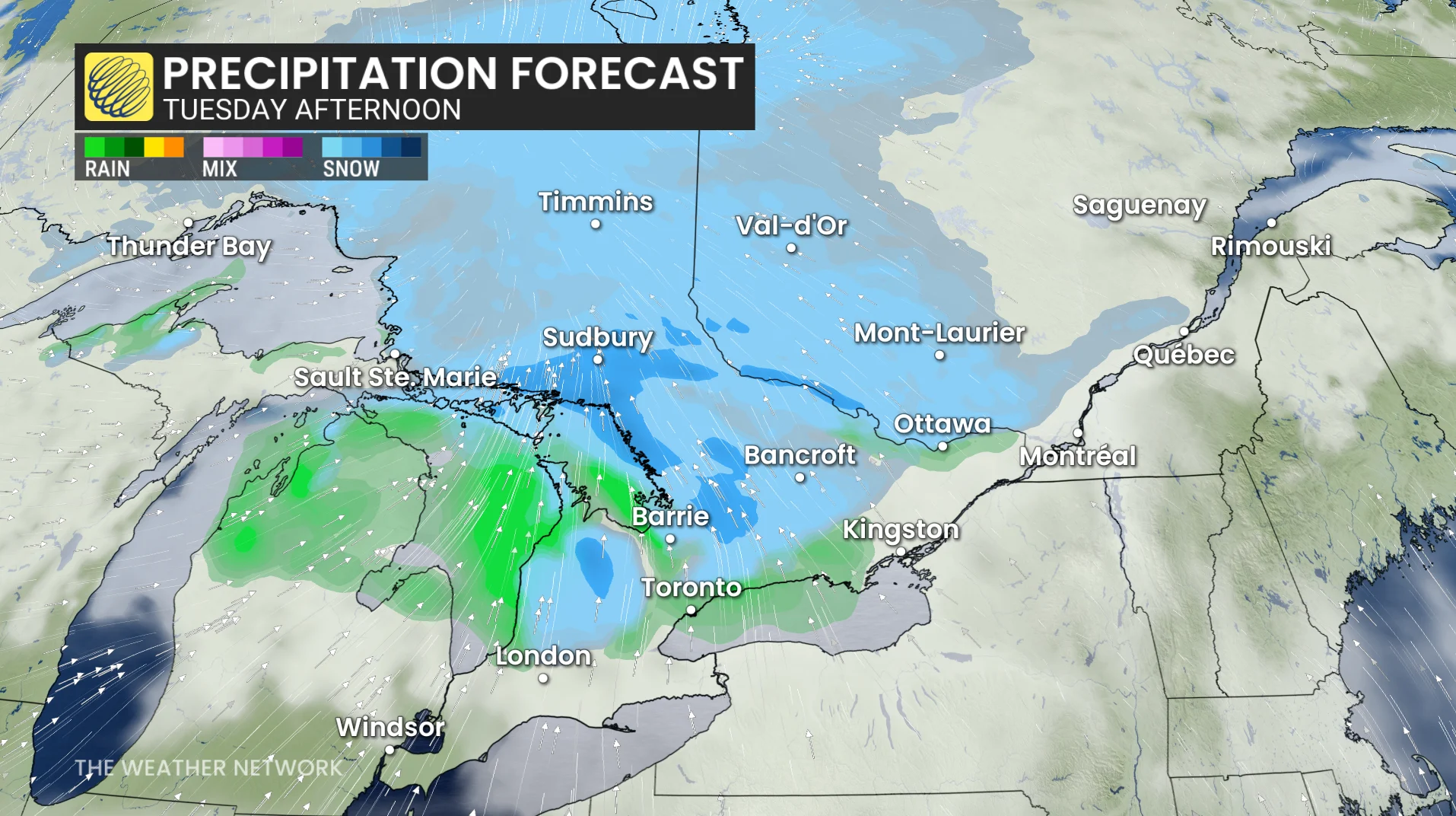Baron - Ontario Tuesday afternoon precipitation - Jan 13