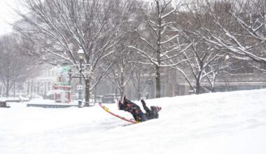 Families flood Toronto’s parks as snowstorm creates four-day winter weekend - Toronto