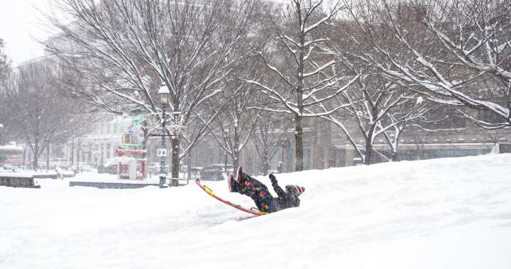 Families flood Toronto’s parks as snowstorm creates four-day winter weekend - Toronto
