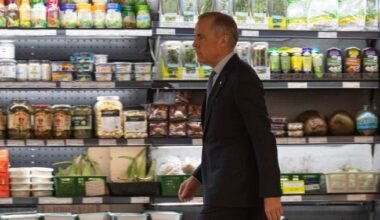 Can rebates or price freezes help tackle soaring food costs?