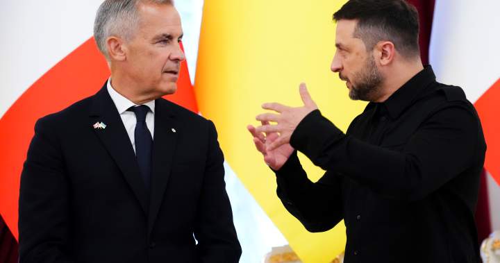 Carney will participate in Ukraine peace talks in France next week - National