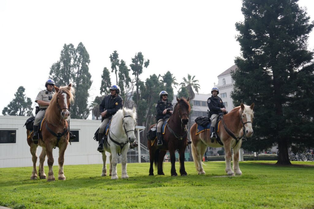 CHP officers on horses