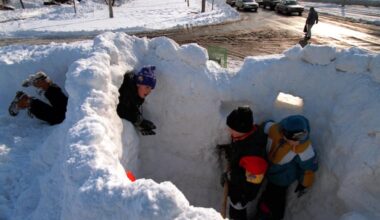 Kids enjoy their third day off from school by building a snow fort on the corner of Island and Tanager in Southwest Philly on Jan. 10, 1996.
