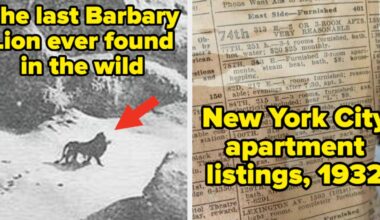 77 Absolutely Jaw-Dropping Pictures From History That Will Make You Rethink Everything You Thought You Knew About The Past