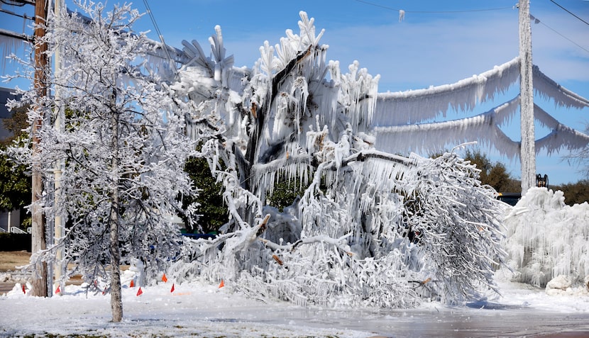 Water from a broken water main break along Luna Rd near Champion Dr in Carrollton created an...