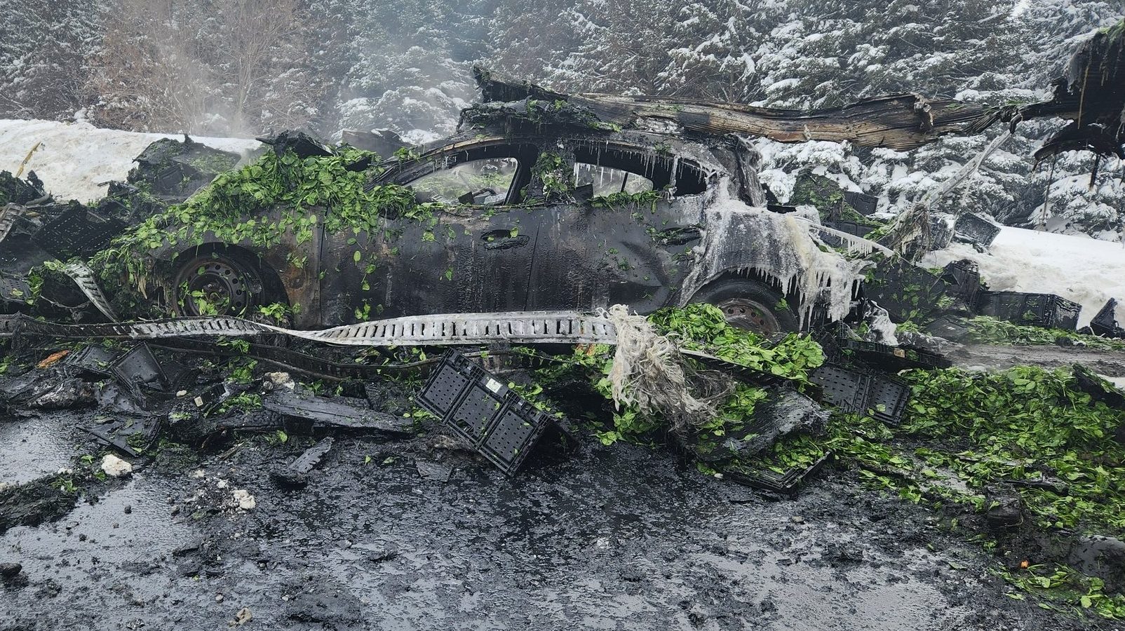 Photos show fiery crashes that shut down large swath of Hwy. 401
