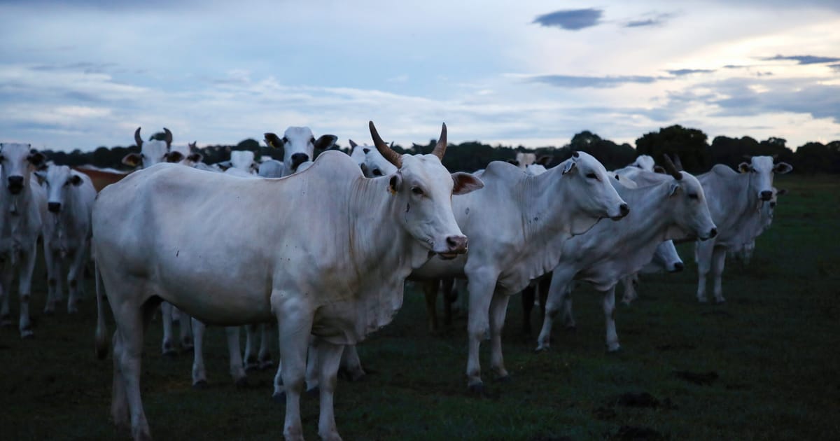 EU countries approve Mercosur trade deal after 25 years of talks – POLITICO