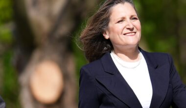 Zelenskyy appoints ex-Canadian deputy PM as economic adviser – POLITICO