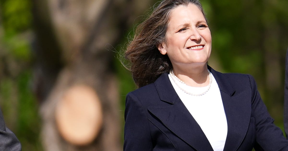 Zelenskyy appoints ex-Canadian deputy PM as economic adviser – POLITICO