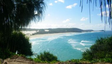 Canadian woman found dead on Australian island surrounded by wild dogs - National