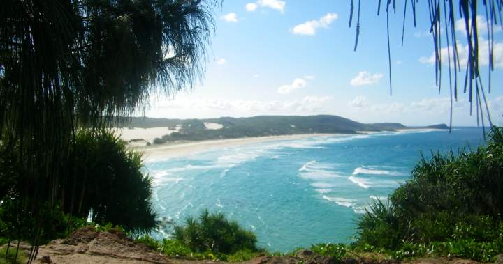 Canadian woman found dead on Australian island surrounded by wild dogs - National