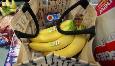 Cost of new food pyramid tested by economists. Results are mixed