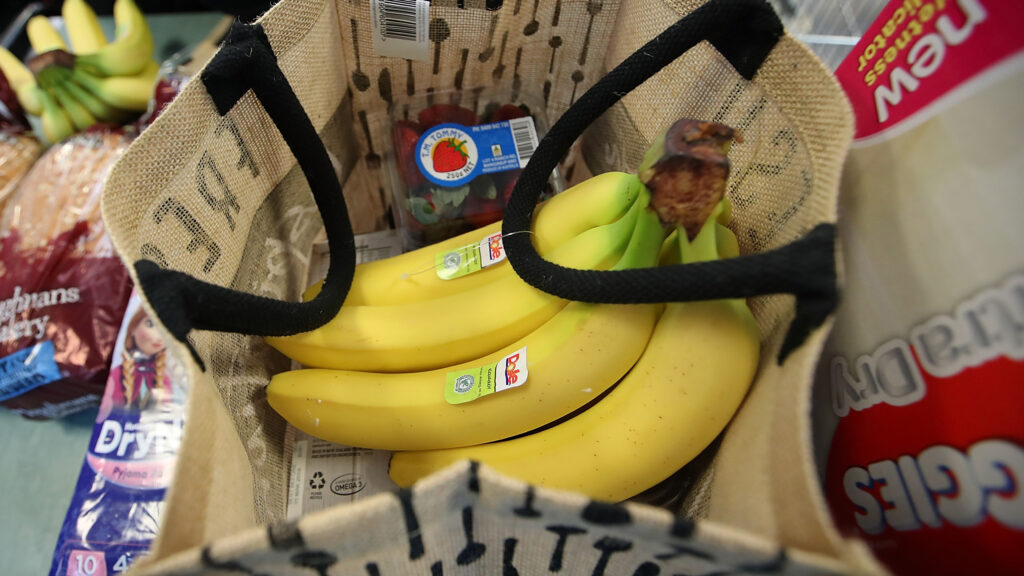 Cost of new food pyramid tested by economists. Results are mixed