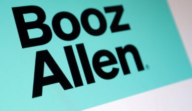 Treasury cancels all Booz Allen Hamilton contracts