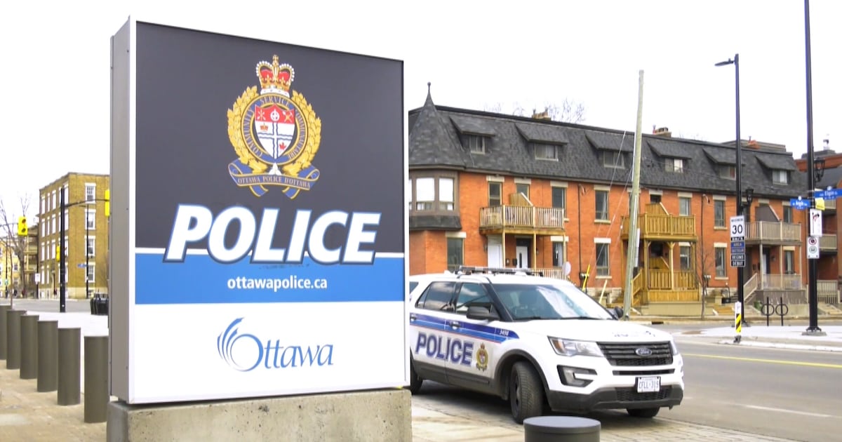 Ottawa man charged for importing sex doll resembling child, police say - CTV News