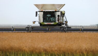 Canada-China talks on reducing canola tariffs have been fruitful, Anand says