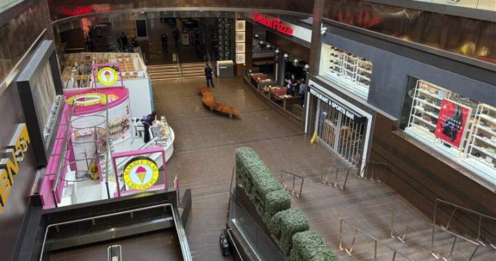West Edmonton Mall locked down for 2nd time in a week after gun fired, weapon spotted - Edmonton