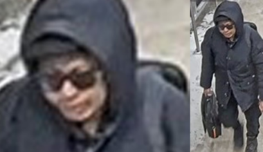 GO train indecent act: suspect sought