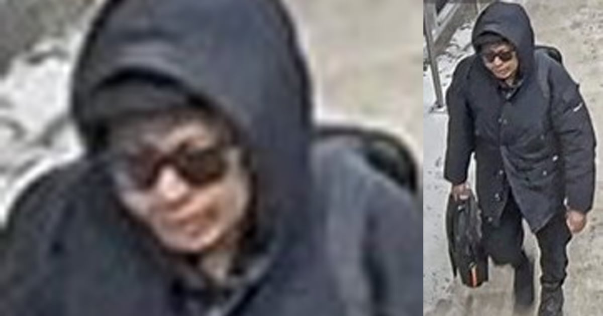 GO train indecent act: suspect sought
