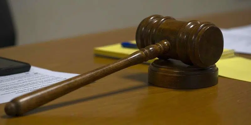 New Trial Dates for Woman Accused of Animal Cruelty to be Confirmed Next Week