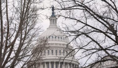 Congress is debating the possible consequences for ICE and even Noem after Renee Good’s killing - CTV News