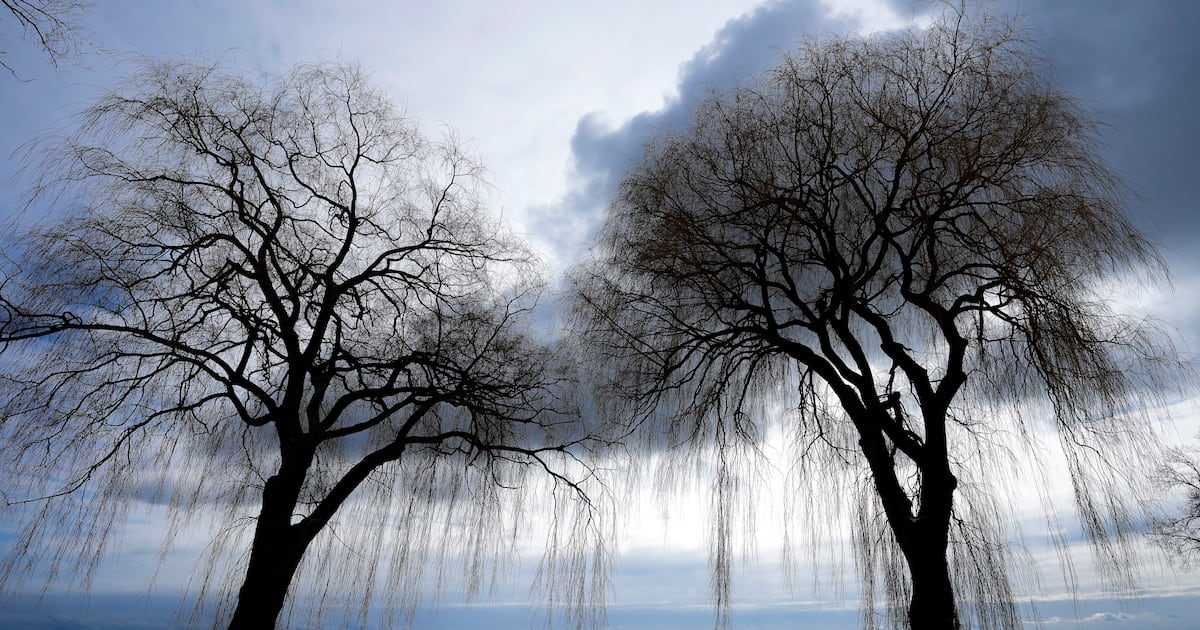 Toronto weather: Cold warning in effect