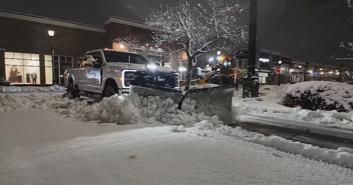 Nor’easter closes all N.S. schools, more than 80,000 customers without power - CTV News