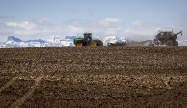 Agriculture and Agri-Food Canada announces closure of research operations, jobs cuts - CTV News
