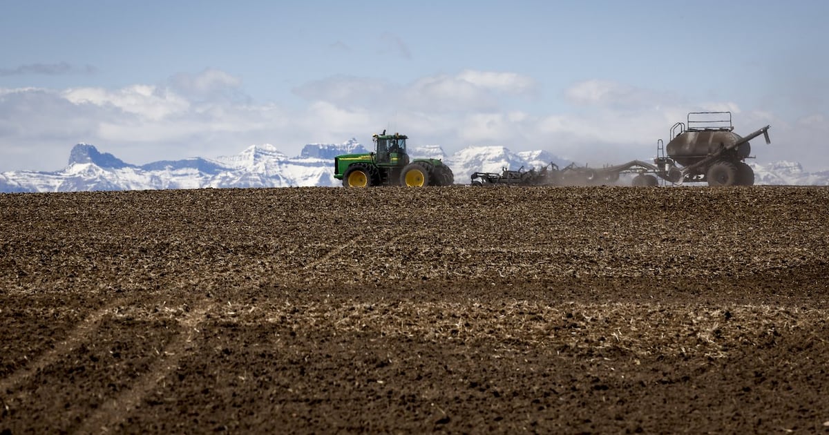Agriculture and Agri-Food Canada announces closure of research operations, jobs cuts - CTV News