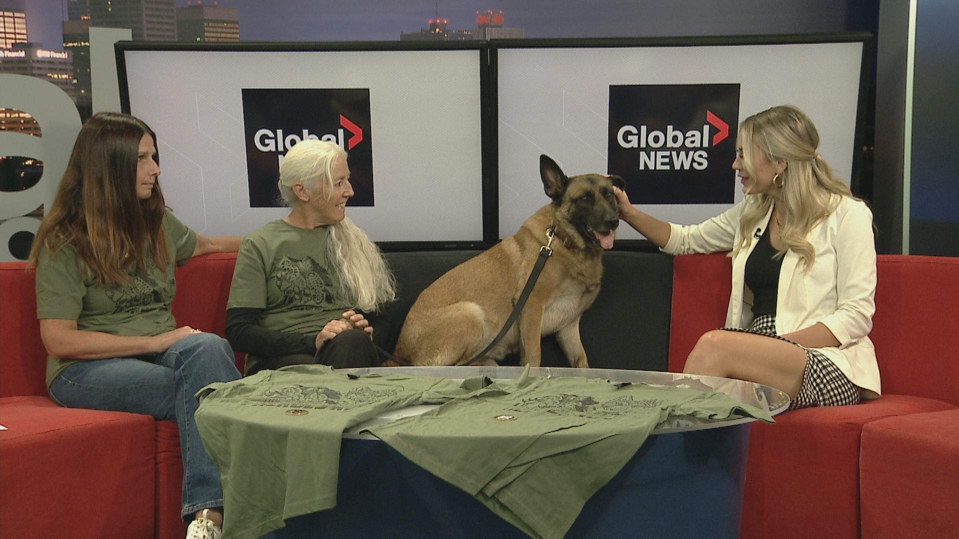 Click to play video: 'Registration open for ‘Ned’s Wish Heroes Run’'