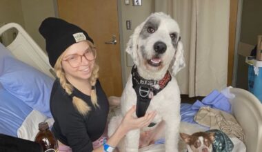 Family fights for change after daughter forced to leave hospital for MAID - CTV News