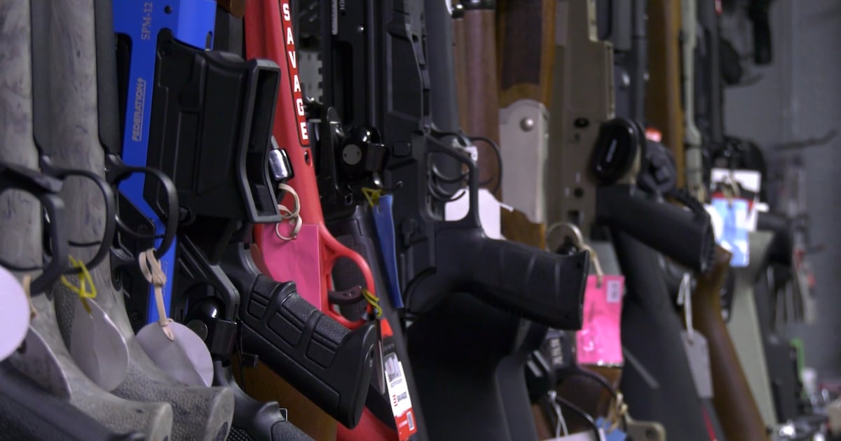 Local police services opt out of assault-style firearms buyback program - CTV News