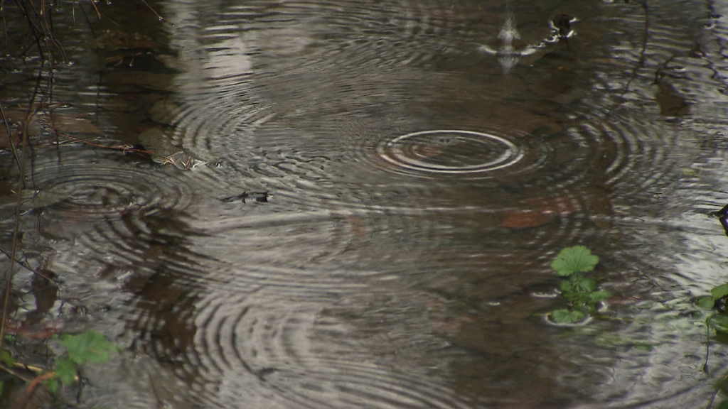 Atmospheric river brings record rainfall over Lower Mainland