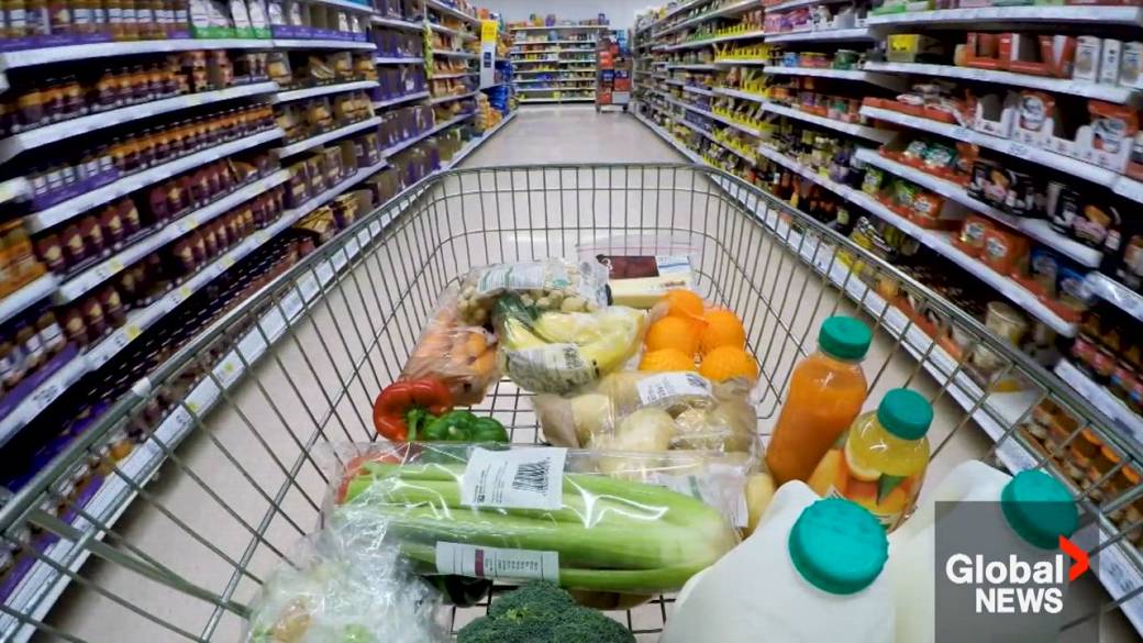 Click to play video: 'How far will Canada’s new grocery rebates go for low-income families?'
