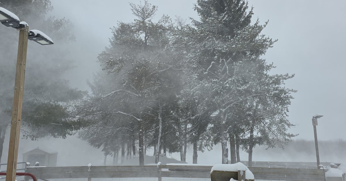 Up to 20 cm of snow, winds, and whiteouts expected: Environment Canada - CTV News