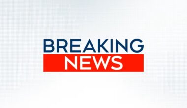 Protesters try to attack driver after truck speeds through anti-Iran demonstration in Los Angeles - CTV News