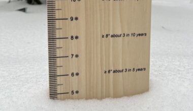 Which places in the DC region got the most snow?