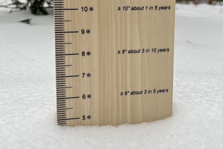 Which places in the DC region got the most snow?