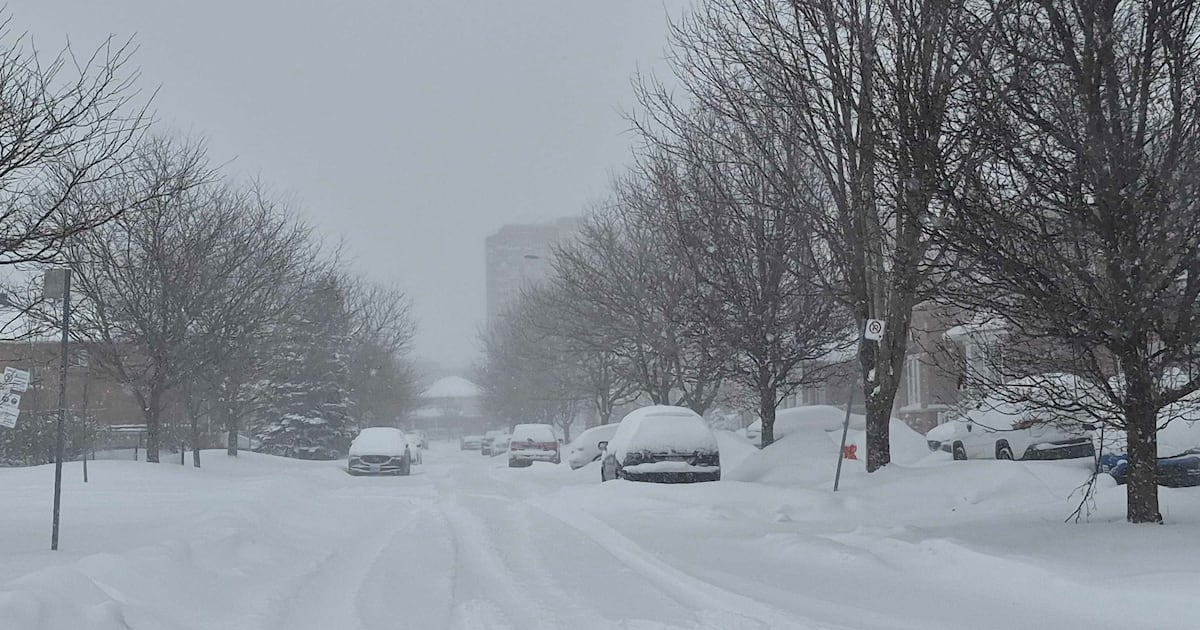 Live updates today as storm dumps 50 cm