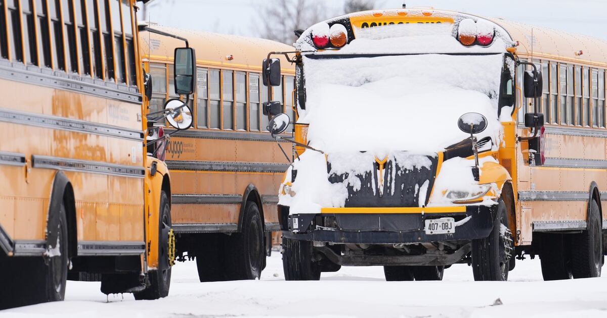 All school buses cancelled in Ottawa and eastern Ontario on Thursday - CTV News